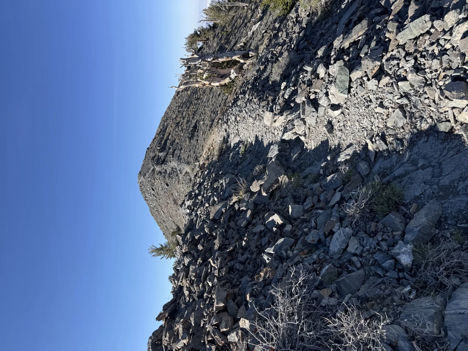 Approaching Telescope Peak from the trail