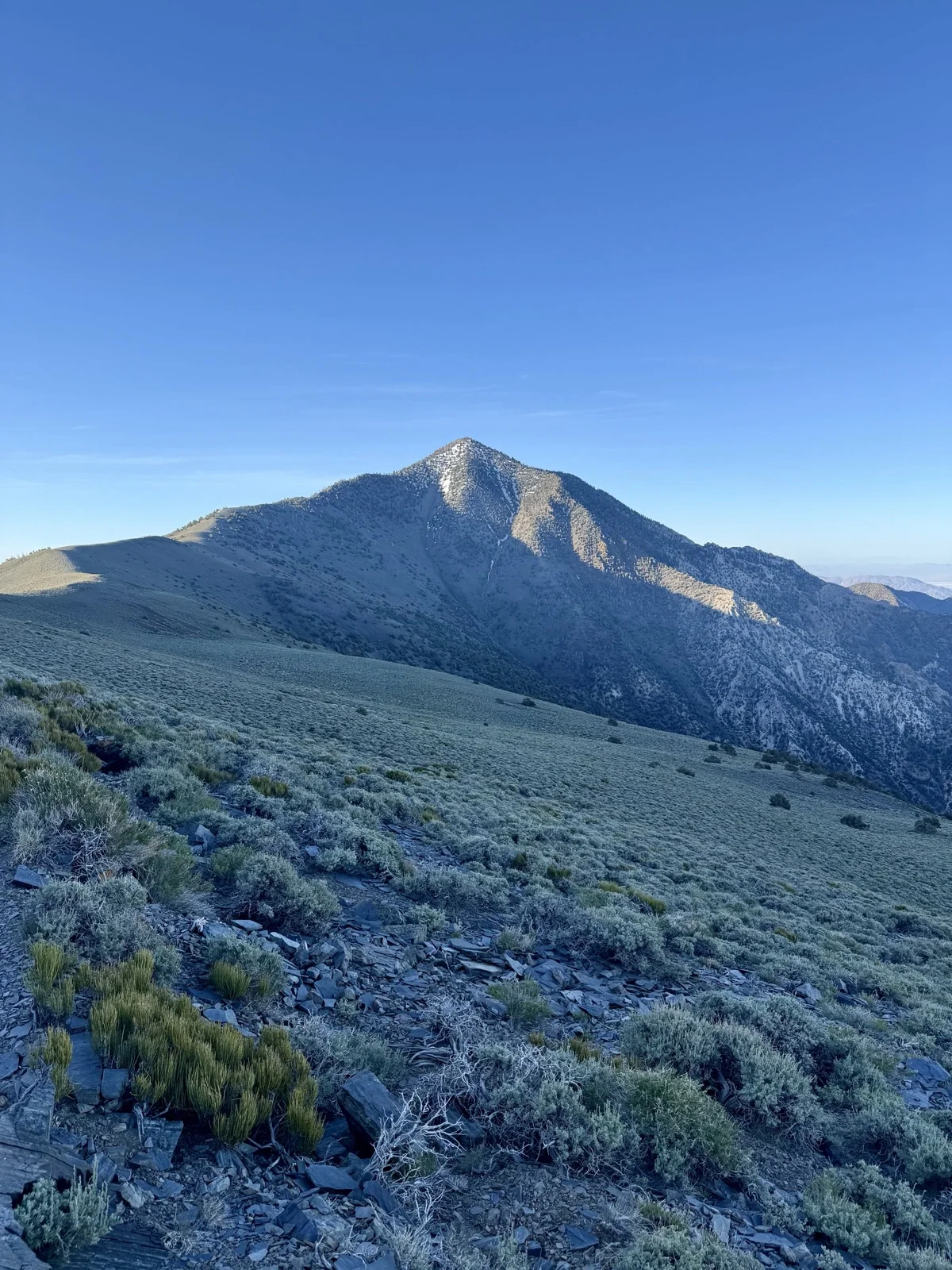 Telescope Peak summit