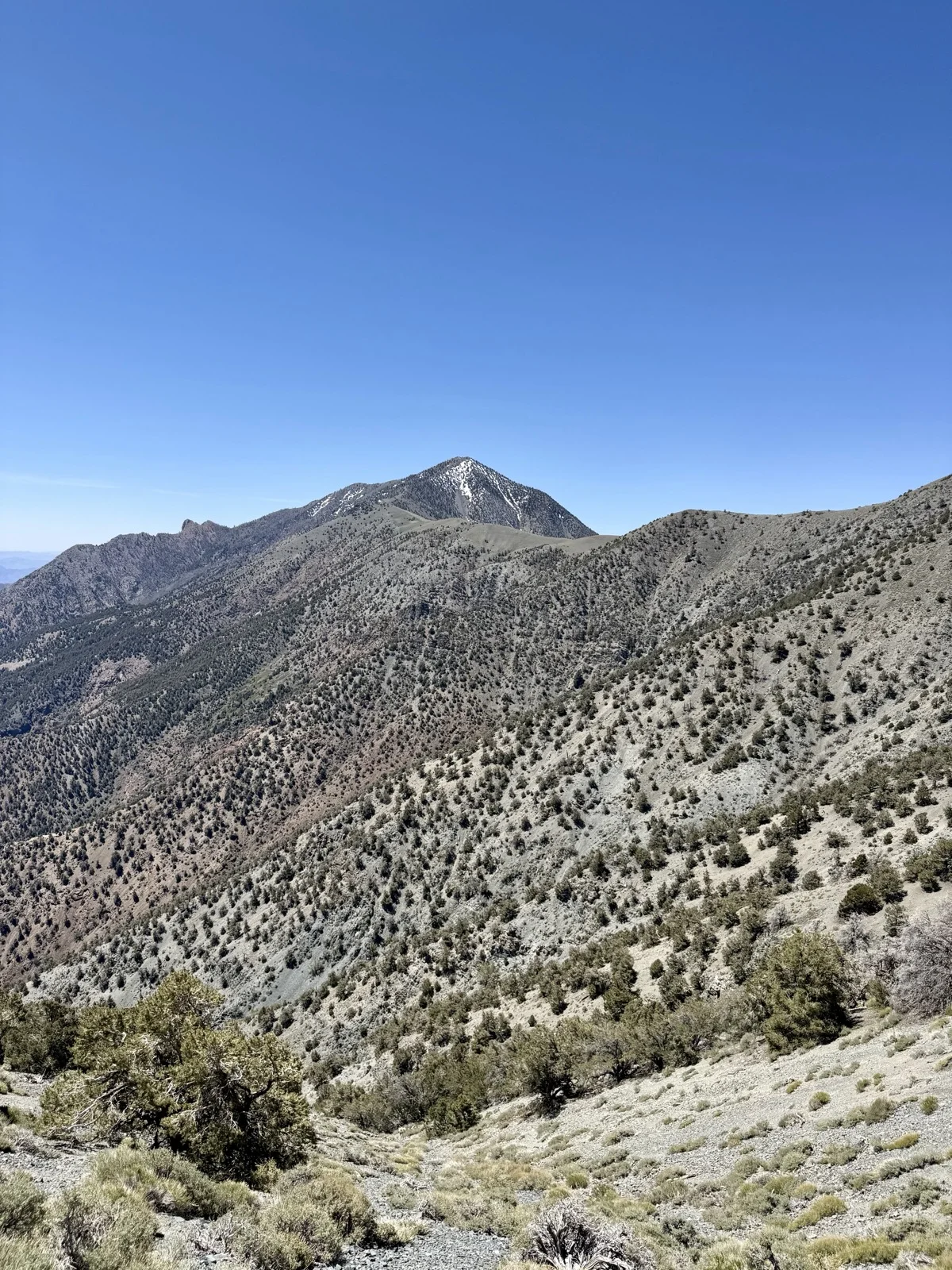 Telescope Peak from the approach trail