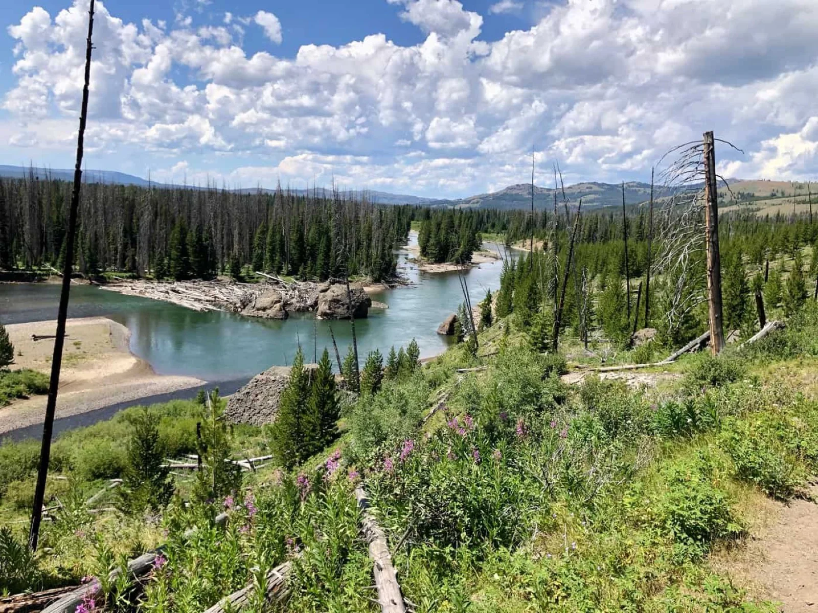 The Yellowstone River winding through the Thorofare valley