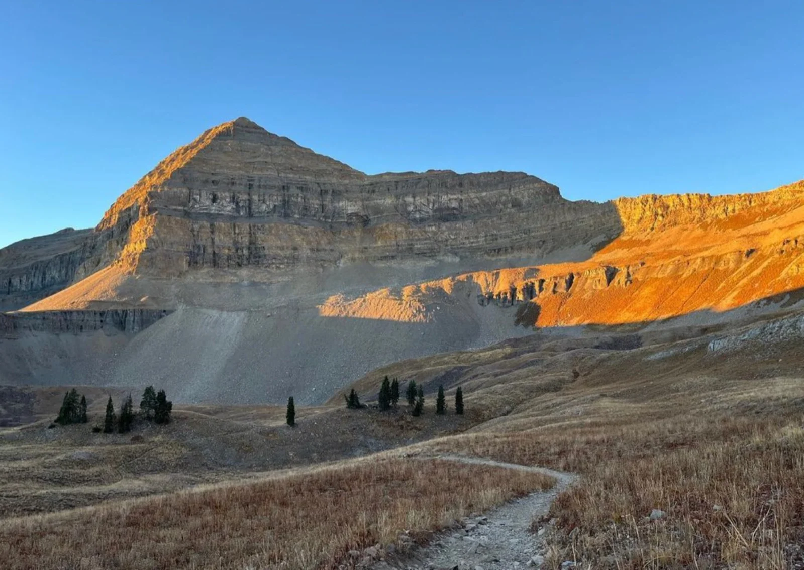 Mount Timpanogos rising above the alpine meadow along the Timpooneke Trail