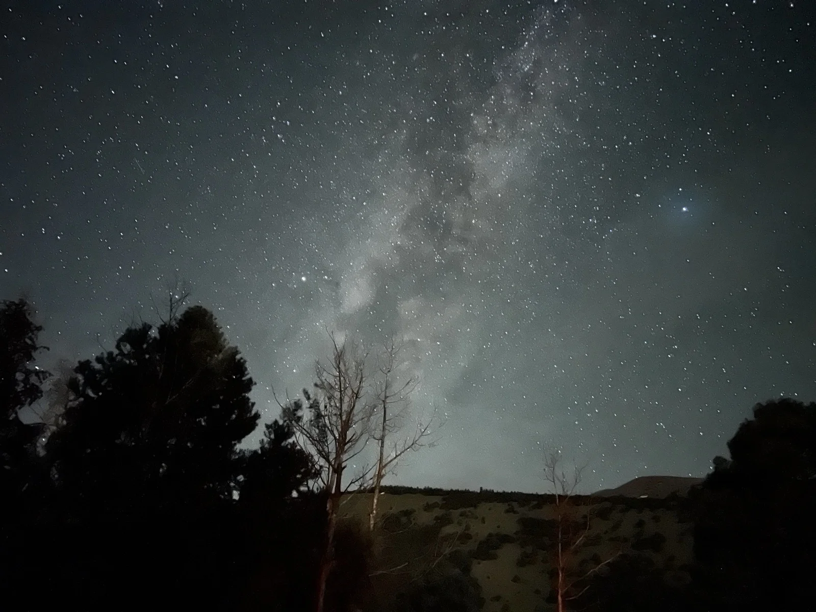 Milky Way visible from Wheeler Peak Campground at night