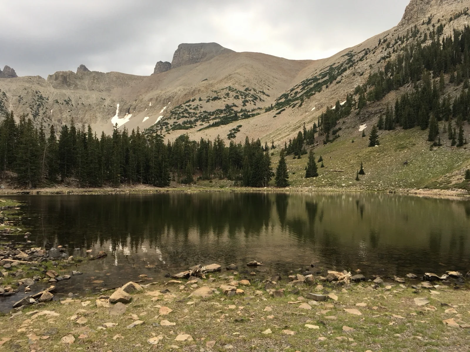 Standing at Stella Lake with Wheeler Peak visible above the treeline